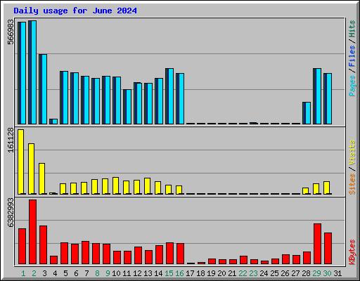 Daily usage for June 2024