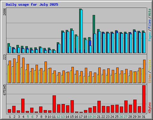 Daily usage for July 2025