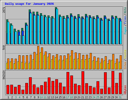 Daily usage for January 2026