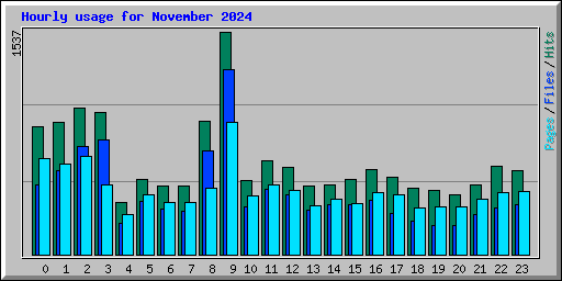 Hourly usage for November 2024