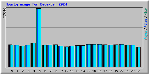 Hourly usage for December 2024