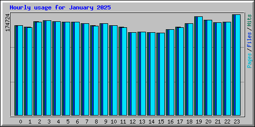 Hourly usage for January 2025