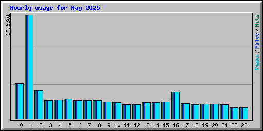 Hourly usage for May 2025
