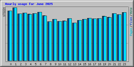 Hourly usage for June 2025