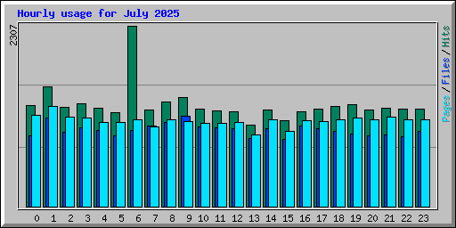 Hourly usage for July 2025