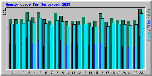 Hourly usage for September 2025