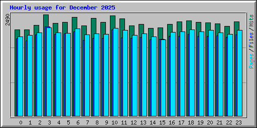 Hourly usage for December 2025