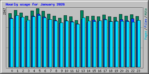 Hourly usage for January 2026