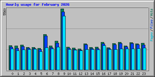 Hourly usage for February 2026