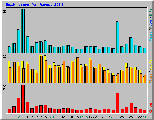Daily usage for August 2024