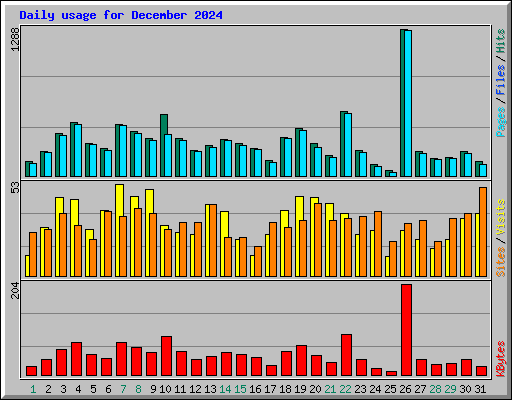 Daily usage for December 2024