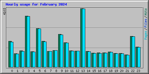 Hourly usage for February 2024
