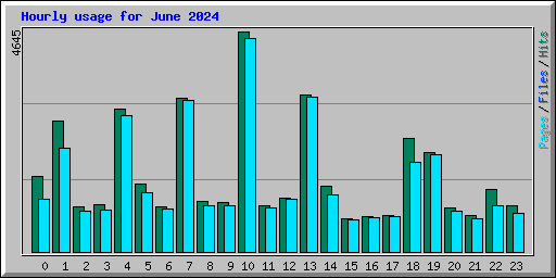Hourly usage for June 2024