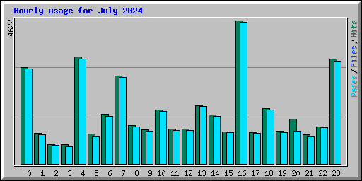 Hourly usage for July 2024