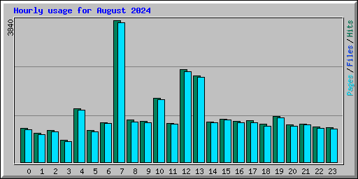 Hourly usage for August 2024
