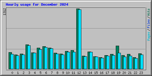 Hourly usage for December 2024