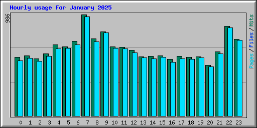 Hourly usage for January 2025