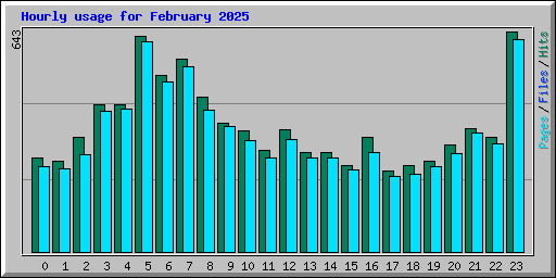 Hourly usage for February 2025