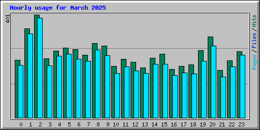 Hourly usage for March 2025