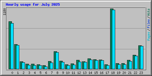 Hourly usage for July 2025