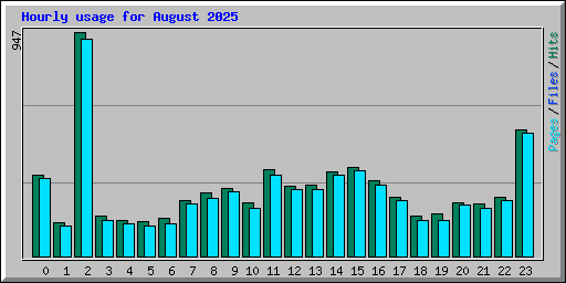Hourly usage for August 2025