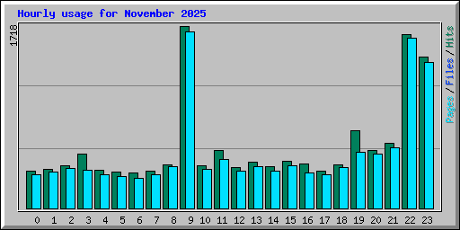 Hourly usage for November 2025