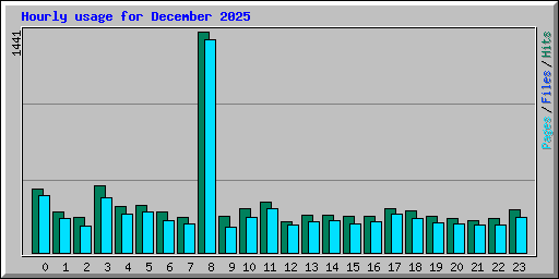Hourly usage for December 2025