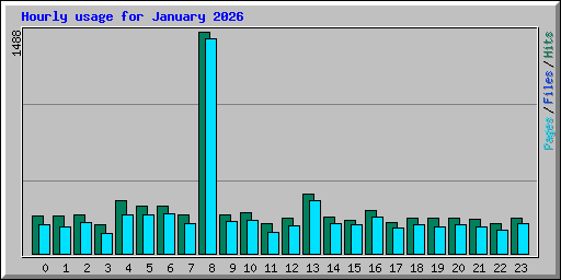 Hourly usage for January 2026