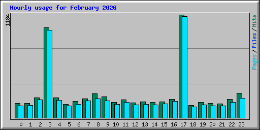 Hourly usage for February 2026